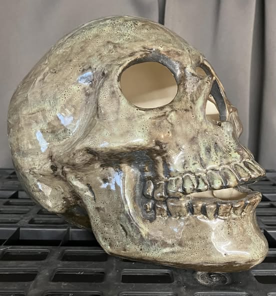💀 Burnt Moss Skull Hand Casted Human Size Ceramic