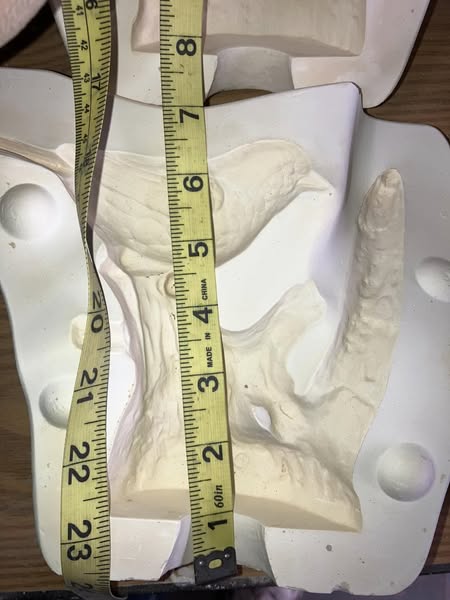 Master Molds 449 Wood Thrush Ceramic Casting Mold lotGI