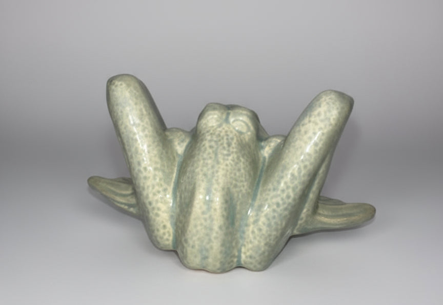 πΈ Frog π₯ Handmade