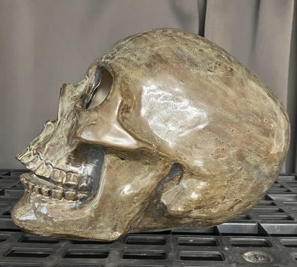 💀 Burnt Moss Skull Hand Casted Human Size Ceramic