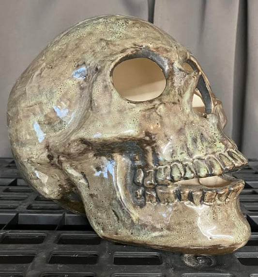 💀 Burnt Moss Skull Hand Casted Human Size Ceramic