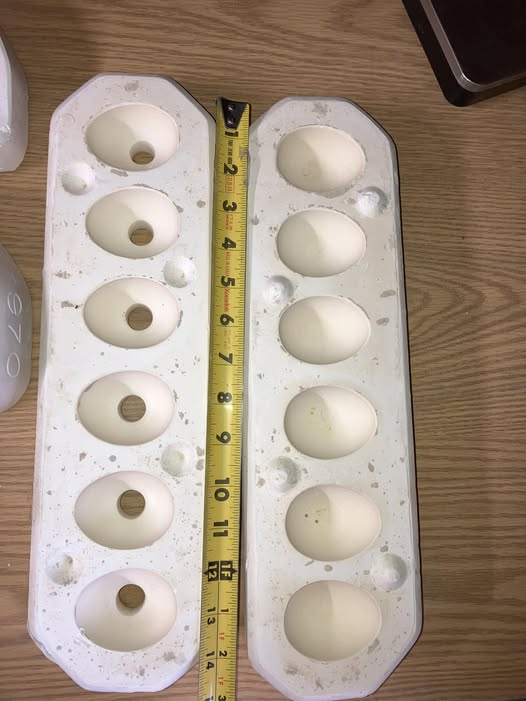 Eggs Scioto 967 TQ Ceramic Casting Mold FREE SHIPPING