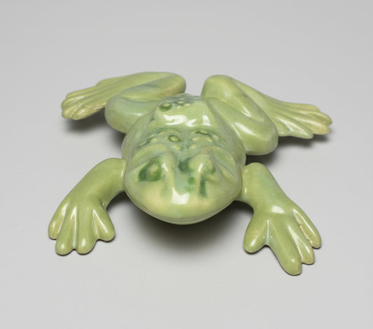 🐸 Frog 🔥 Handmade