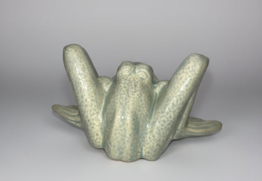 🐸 Frog 🔥 Handmade