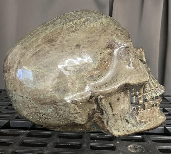 💀 Burnt Moss Skull Hand Casted Human Size Ceramic