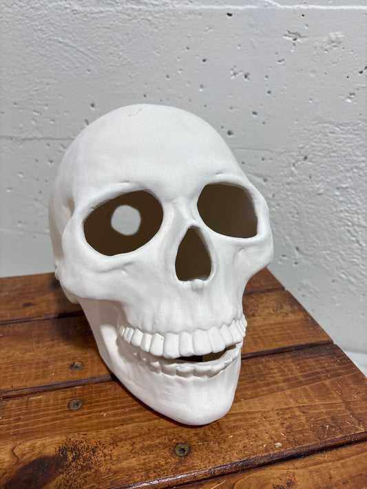 Life-size human skull ready to paint Ceramics