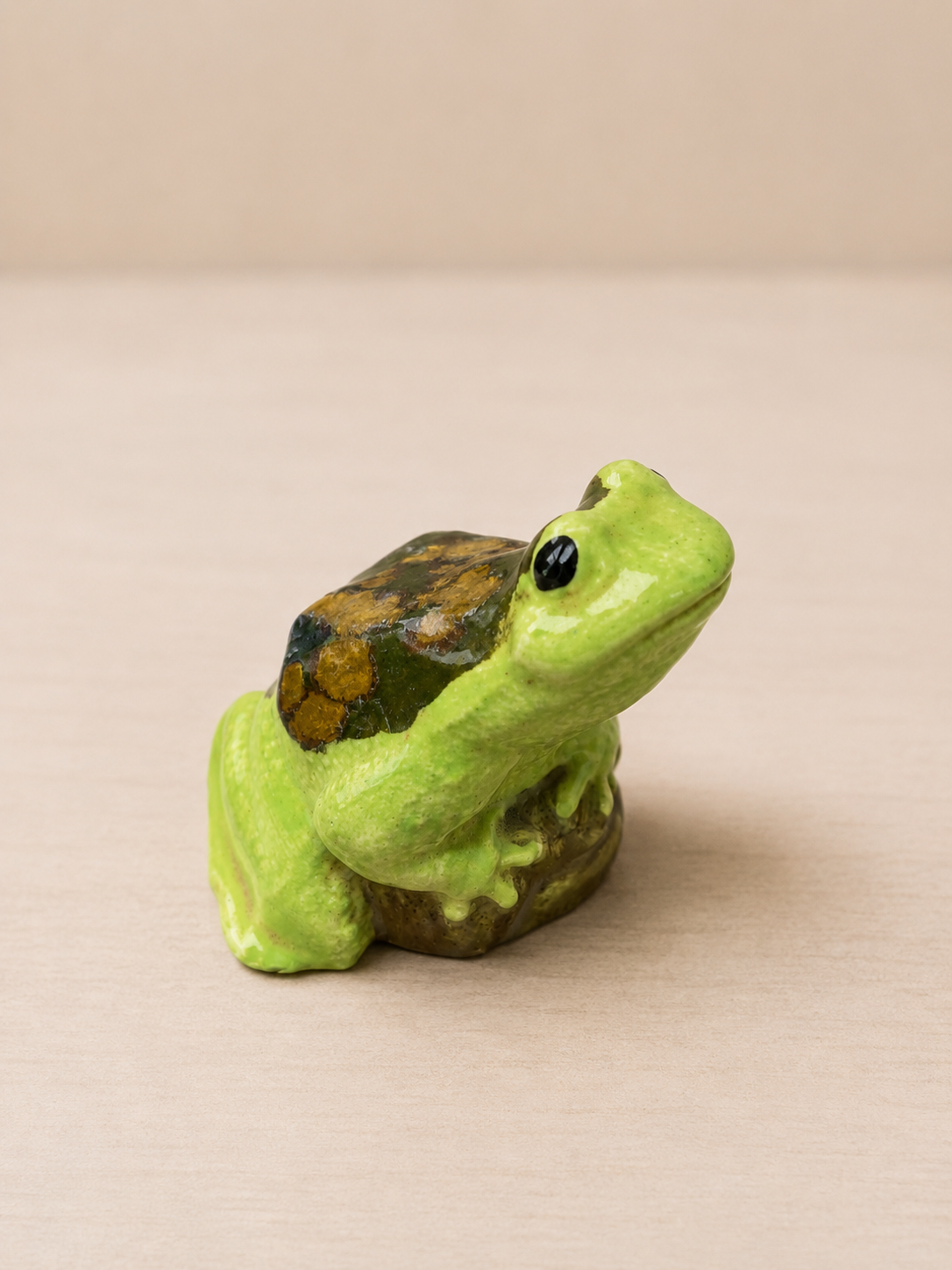 Small garden toad sitting on rock