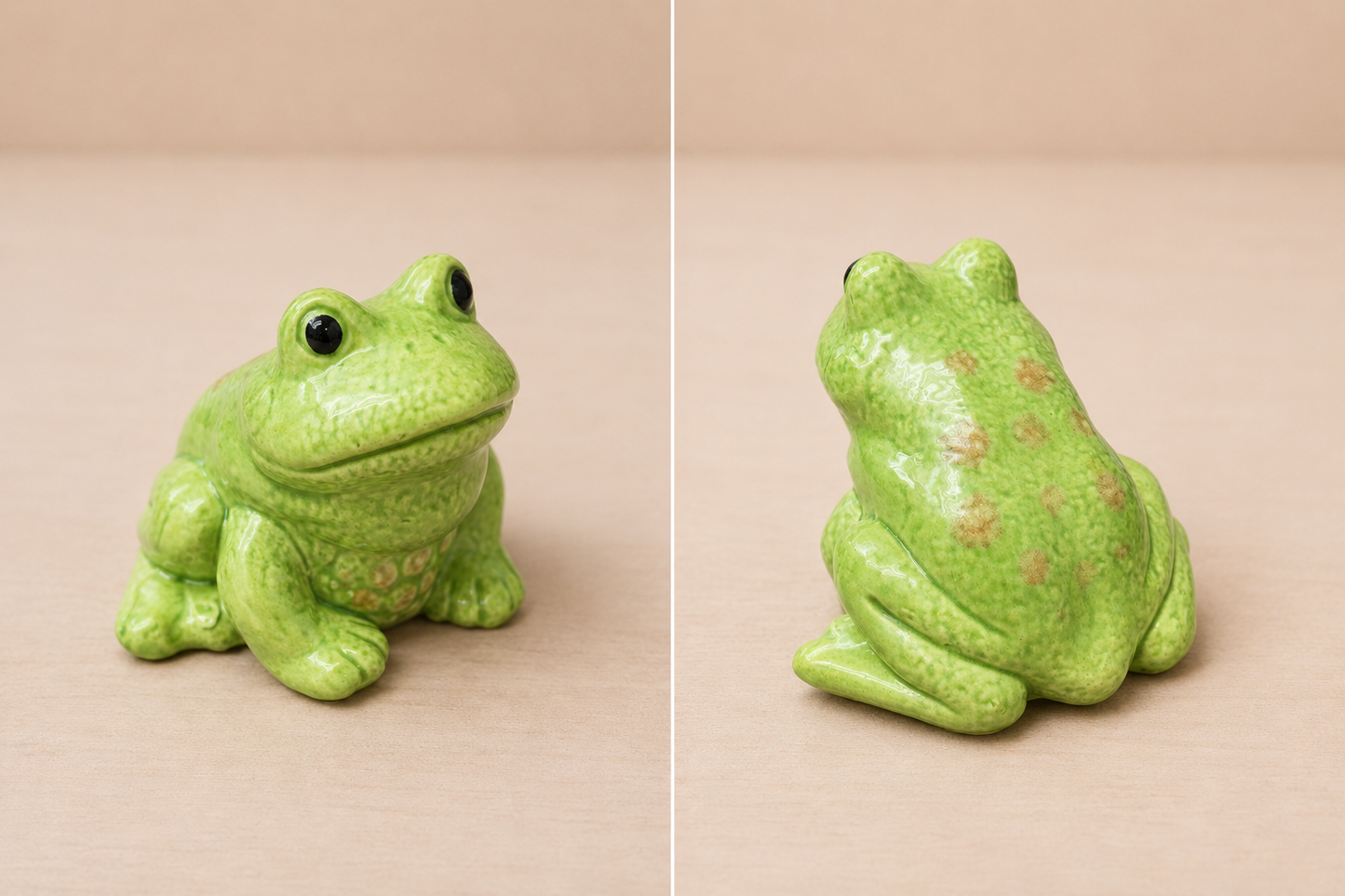 Small green garden toad